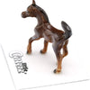 Little Critterz Asil Arabian Colt