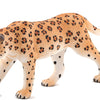 Mojo Leopard