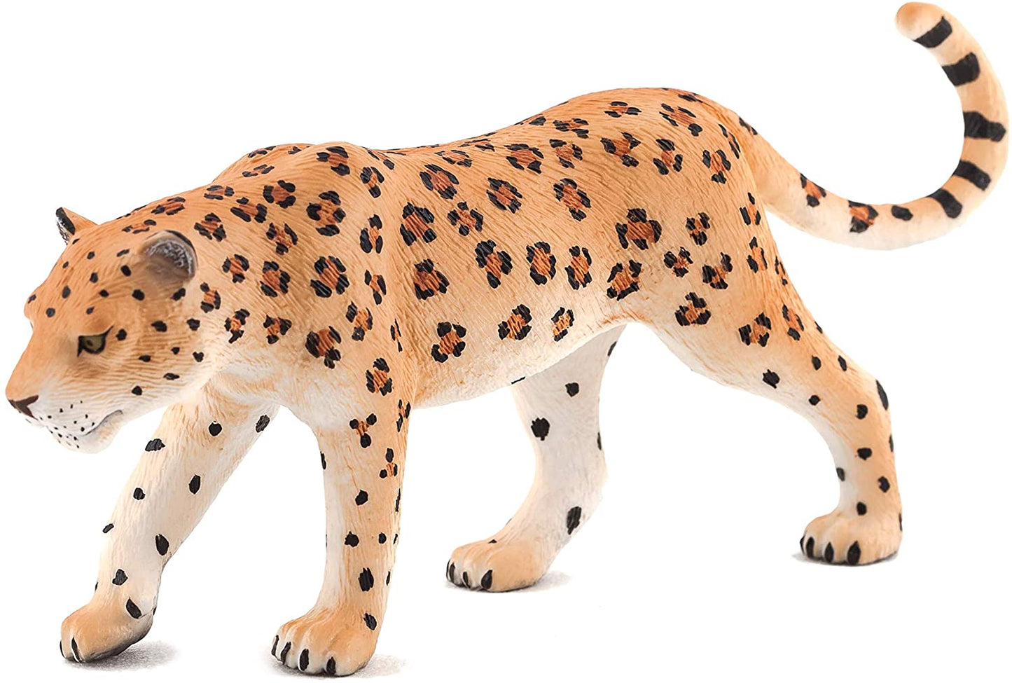 Mojo Leopard