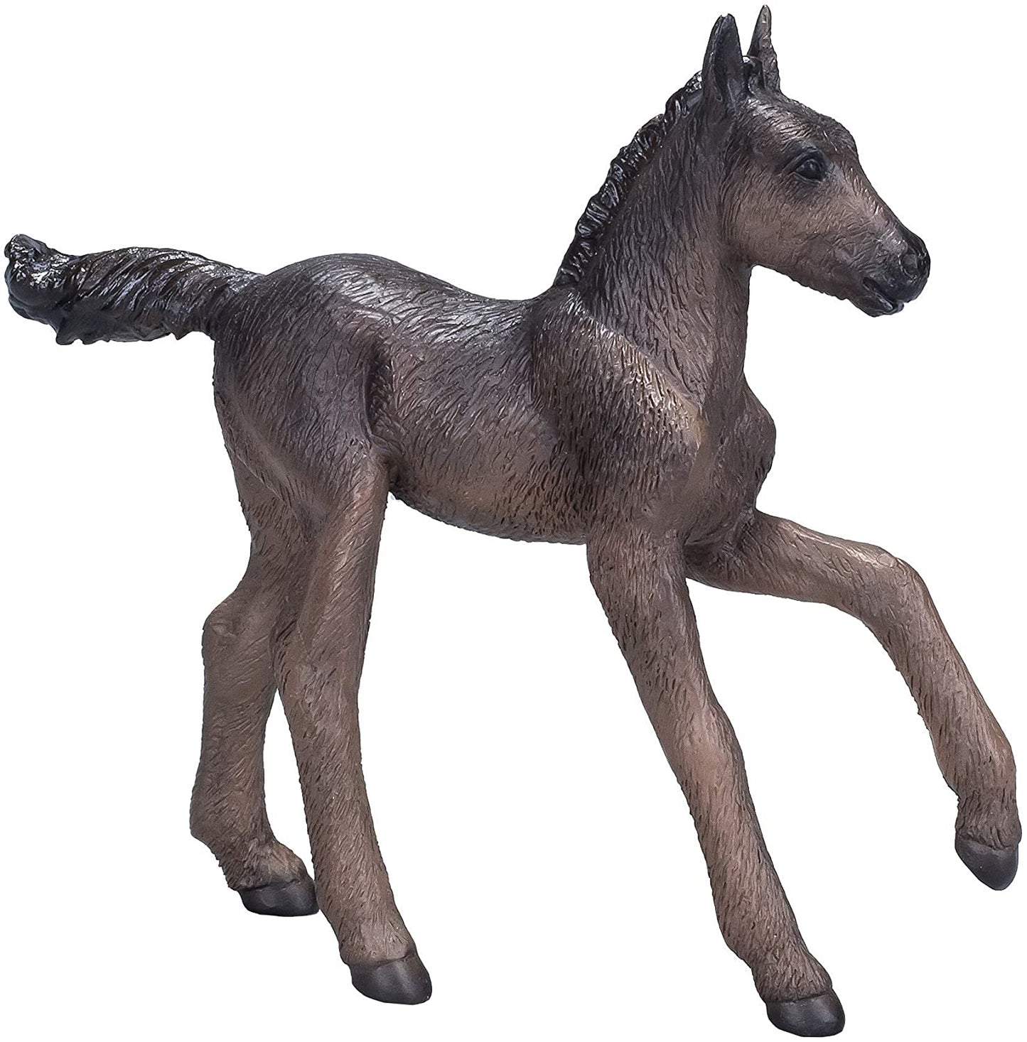 Mojo Arabian Black Foal