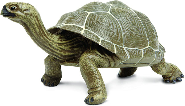 Safari Ltd Incredible Creatures Galapagos Adult Tortoise
