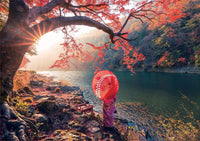 Educa Sunrise in Katsura River, Japan 1000 Piece Puzz;e