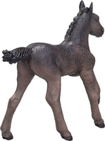 Mojo Arabian Black Foal