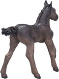 Mojo Arabian Black Foal