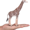 Mojo Giraffe Male