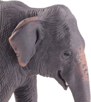 MOJO Asian Elephant Realistic International Wildlife Toy Replica Hand Painted Figurine