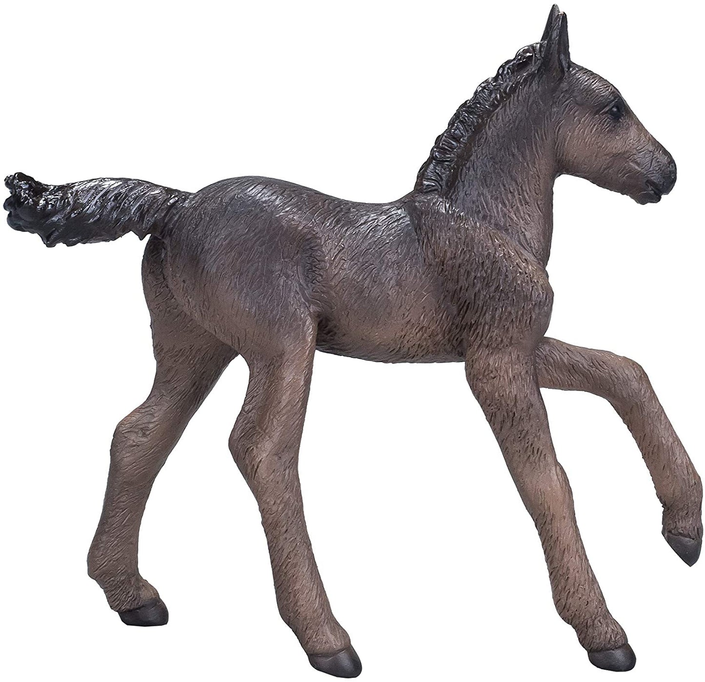 Mojo Arabian Black Foal