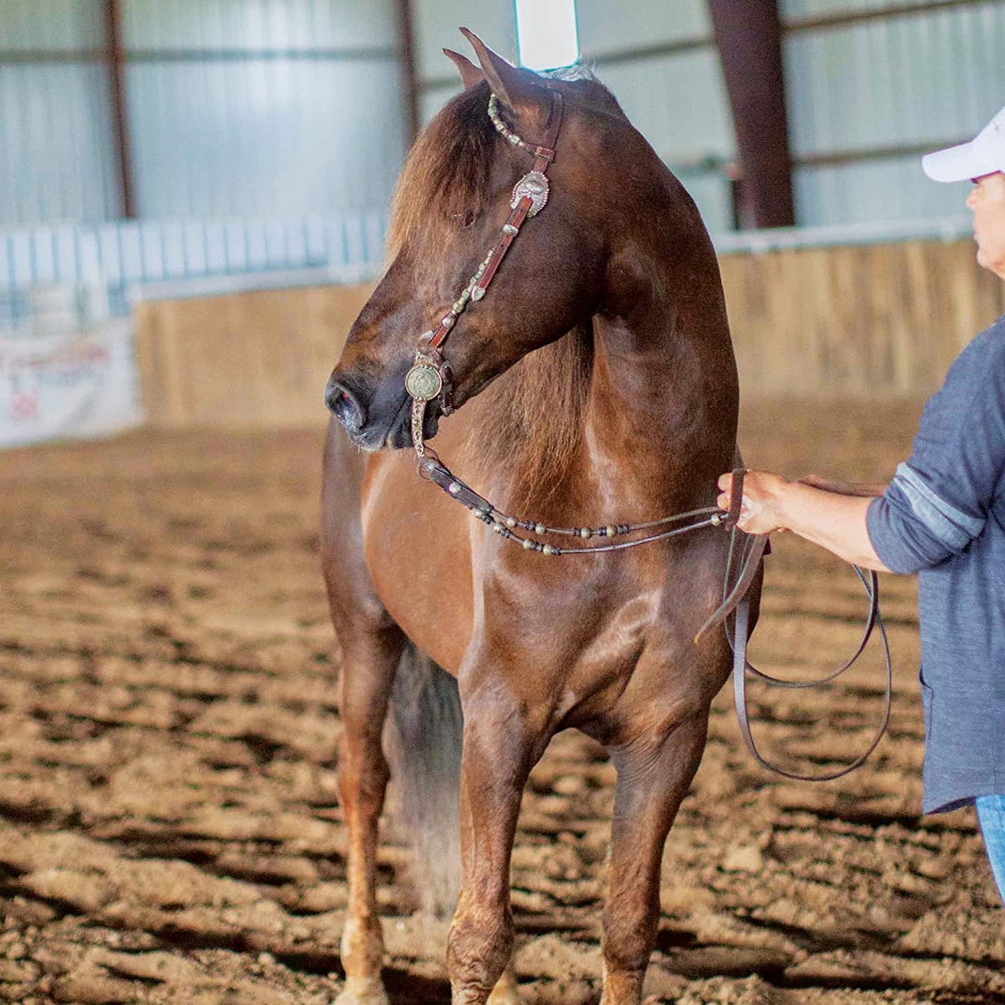 Breyer Morgan Quest Native Sun Reining Stallion