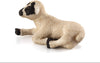 Mojo Black faced lamb lying down