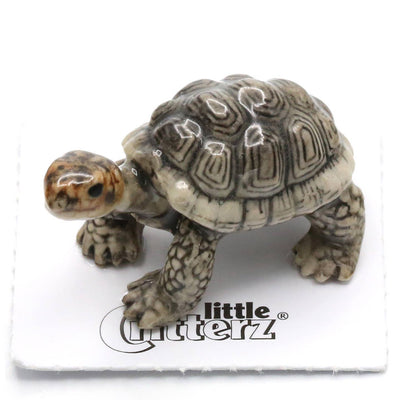 Little Critterz "Darwin" Galapagos Tortoise Porcelain Figurine