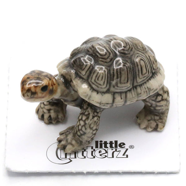 Little Critterz "Darwin" Galapagos Tortoise Porcelain Miniature