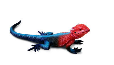 Safari LTD Mwanza Flat-Headed Rock Agama