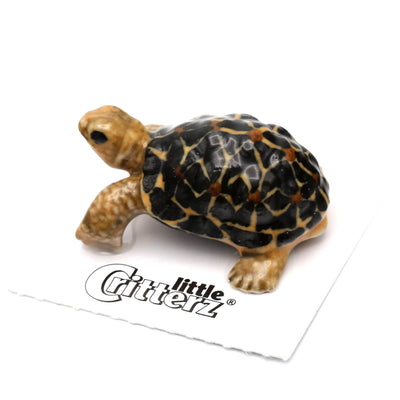 Little Critterz "Star" Tortoise Porcelain Figurine