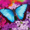 Masterpieces Brilliance Fluttering Rainbow 550 Pc  Puzzle