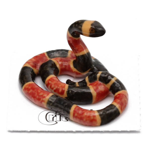 Little Critterz "Rhyme" Coral Snake