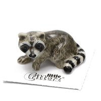 Little Critterz "Bandit" Raccoon Porcelain Miniature