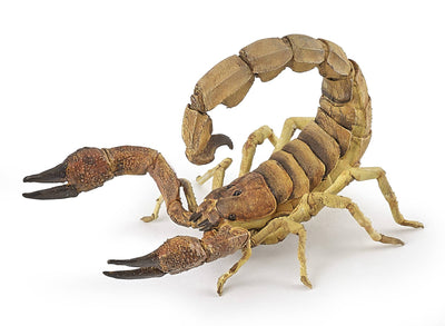 Duplicate SKU: Papo - Scorpion | 7.99 | 50209
