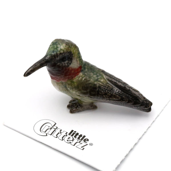 Little Critterz "Gorget" Broad-tailed Hummingbird Porcelain Miniature