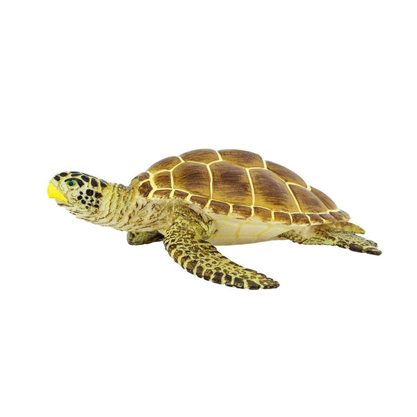 Safari Ltd. - Loggerhead Turtle - 220229