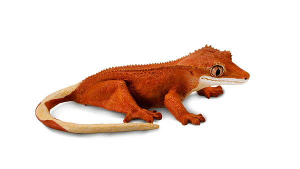 Safari Ltd. - Crested Gecko