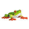 Mojo Red-Eyed Tree Frog