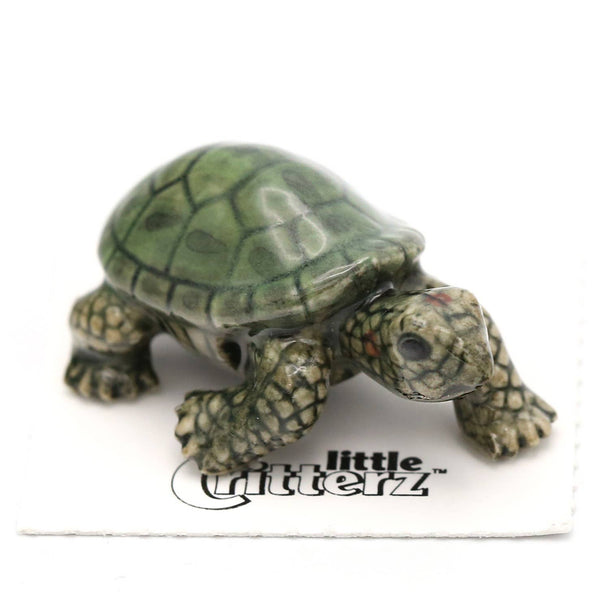 Little Critterz "Ras" Garden Turtle Porcelain Miniature