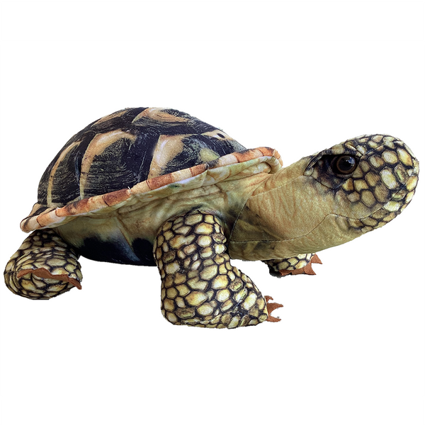 Texas Toy Distribution -Sulcata  Spurred Tortoise Plush 13" Stuffed Animal
