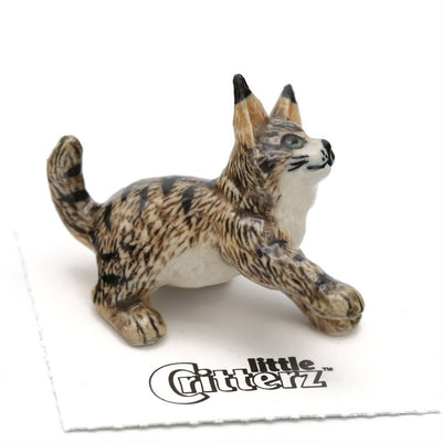 Little Critterz "Cosey" Maine Coon Kitten Porcelain Miniature