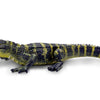Safari Alligator Baby